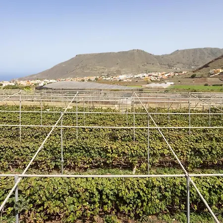 Live Vinedo Holiday home *