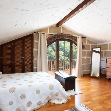 Live Vinedo Holiday home Tegueste